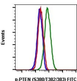 Invitrogen Phospho-PTEN (Ser380, Thr382, Thr383) Recombinant Rabbit Monoclonal Antibody (PTENS380T382383-E4), FITC, Invitrogen 10 Tests | Buy Online | Invitrogen&trade; | Fisher Scientific