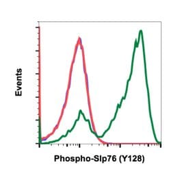 Invitrogen Phospho-SLP76 (Tyr128) Recombinant Rabbit Monoclonal Antibody