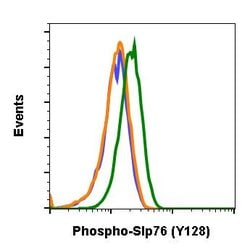Invitrogen Phospho-SLP76 (Tyr128) Recombinant Rabbit Monoclonal Antibody