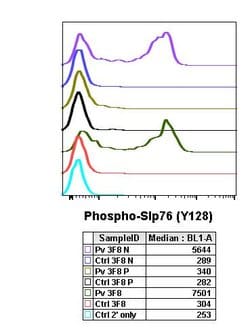 Invitrogen Phospho-SLP76 (Tyr128) Recombinant Rabbit Monoclonal Antibody