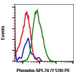 Invitrogen Phospho-SLP76 (Tyr128) Recombinant Rabbit Monoclonal Antibody