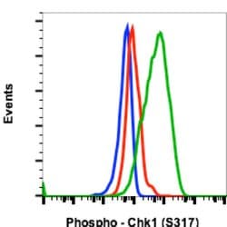 Invitrogen Phospho-Chk1 (Ser317) Recombinant Rabbit Monoclonal Antibody