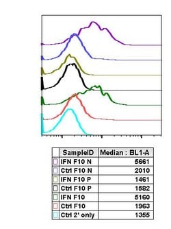 Invitrogen Phospho-Chk1 (Ser317) Recombinant Rabbit Monoclonal Antibody