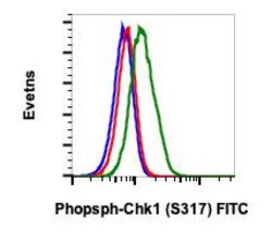 Phospho-Chk1 (Ser317) Recombinant Rabbit Monoclonal Antibody (chk1S317-F10),