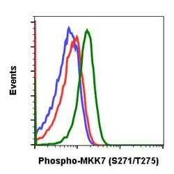 Invitrogen Phospho-MKK7 (Ser271, Thr275) Recombinant Rabbit Monoclonal