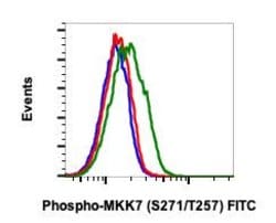 Invitrogen Phospho-MKK7 (Ser271, Thr275) Recombinant Rabbit Monoclonal