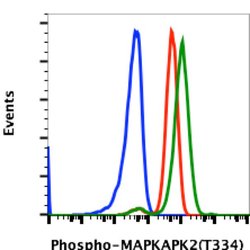 Invitrogen Phospho-MAPKAPK2 (Thr334) Recombinant Rabbit Monoclonal Antibody