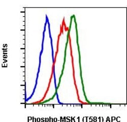 Invitrogen Phospho-MSK1 (Thr581) Recombinant Rabbit Monoclonal Antibody