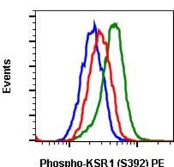 Invitrogen Phospho-KSR1 (Ser392) Recombinant Rabbit Monoclonal Antibody