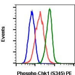 Phospho-Chk1 (Ser345) Recombinant Rabbit Monoclonal Antibody (Chk1S345-R3F9),