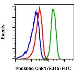 Invitrogen Phospho-Chk1 (Ser345) Recombinant Rabbit Monoclonal Antibody (Chk1S345-R3F9), FITC, Invitrogen 10 Tests | Buy Online | Invitrogen&trade; | Fisher Scientific