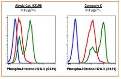 Invitrogen Phospho-Histone H2A.X (Ser139) Recombinant Rabbit Monoclonal