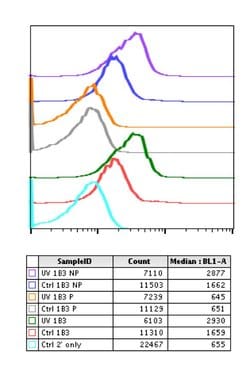 Invitrogen Phospho-Histone H2A.X (Ser139) Recombinant Rabbit Monoclonal