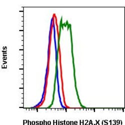 Invitrogen Phospho-Histone H2A.X (Ser139) Recombinant Rabbit Monoclonal