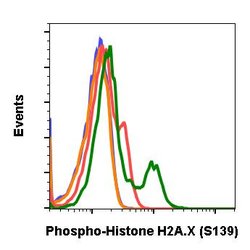 Invitrogen Phospho-Histone H2A.X (Ser139) Recombinant Rabbit Monoclonal