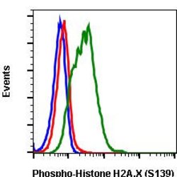 Invitrogen Phospho-Histone H2A.X (Ser139) Recombinant Rabbit Monoclonal