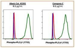 Invitrogen Phospho-PLCg1 (Tyr783) Recombinant Rabbit Monoclonal Antibody