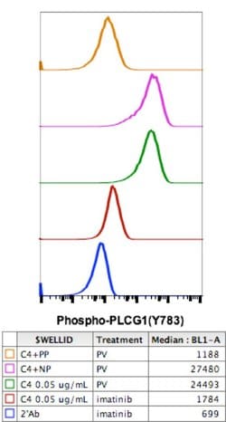 Invitrogen Phospho-PLCg1 (Tyr783) Recombinant Rabbit Monoclonal Antibody