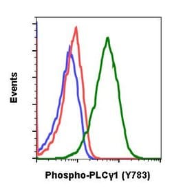 Invitrogen Phospho-PLCg1 (Tyr783) Recombinant Rabbit Monoclonal Antibody