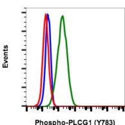 Invitrogen Phospho-PLCg1 (Tyr783) Recombinant Rabbit Monoclonal Antibody