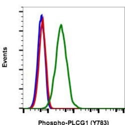 Invitrogen Phospho-PLCg1 (Tyr783) Recombinant Rabbit Monoclonal Antibody