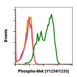 Invitrogen Phospho-c-Met (Tyr1234, Tyr1235) Recombinant Rabbit Monoclonal
