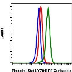 Invitrogen Phospho-Stat1 (Tyr701) Recombinant Rabbit Monoclonal Antibody