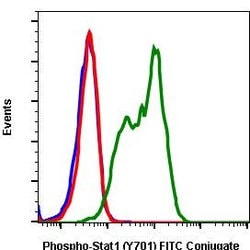 Invitrogen Phospho-Stat1 (Tyr701) Recombinant Rabbit Monoclonal Antibody