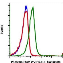 Phospho-Stat1 (Tyr701) Recombinant Rabbit Monoclonal Antibody (Stat1Y701-3E6),