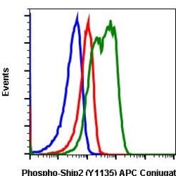 Invitrogen Phospho-Ship2 (Tyr1135) Recombinant Rabbit Monoclonal Antibody