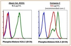 Invitrogen Phospho-Histone H2A.X (Ser139) Recombinant Rabbit Monoclonal