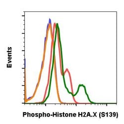 Invitrogen Phospho-Histone H2A.X (Ser139) Recombinant Rabbit Monoclonal