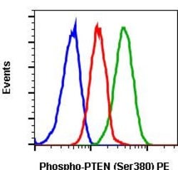 Invitrogen Phospho-PTEN (Ser380) Recombinant Rabbit Monoclonal Antibody (PTENS380-NA9), PE, Invitrogen 10 Tests | Buy Online | Invitrogen&trade; | Fisher Scientific