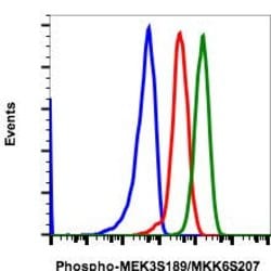 Invitrogen Phospho-MEK3/MEK6 (Ser189, Ser207) Recombinant Rabbit Monoclonal