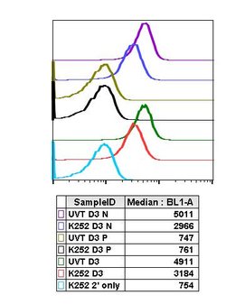 Invitrogen Phospho-MEK3/MEK6 (Ser189, Ser207) Recombinant Rabbit Monoclonal