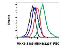 Invitrogen Phospho-MEK3/MEK6 (Ser189, Ser207) Recombinant Rabbit Monoclonal