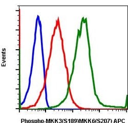 Invitrogen Phospho-MEK3/MEK6 (Ser189, Ser207) Recombinant Rabbit Monoclonal