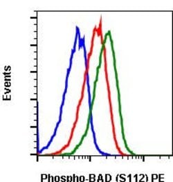 Invitrogen Phospho-BAD (Ser112) Recombinant Rabbit Monoclonal Antibody