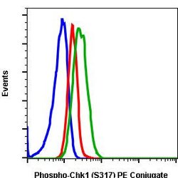 Invitrogen Phospho-Chk1 (Ser317) Recombinant Rabbit Monoclonal Antibody