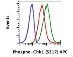 Phospho-Chk1 (Ser317) Recombinant Rabbit Monoclonal Antibody (Chk1S317-G1),
