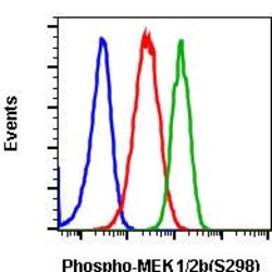 Invitrogen Phospho-MEK1 (Ser298) Recombinant Rabbit Monoclonal Antibody