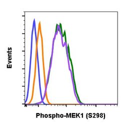 Invitrogen Phospho-MEK1 (Ser298) Recombinant Rabbit Monoclonal Antibody