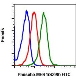 Phospho-MEK1 (Ser298) Recombinant Rabbit Monoclonal Antibody (MEK1S298-H8),