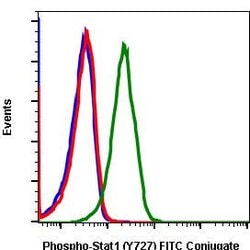 Invitrogen Phospho-Stat1 (Ser727) Recombinant Rabbit Monoclonal Antibody