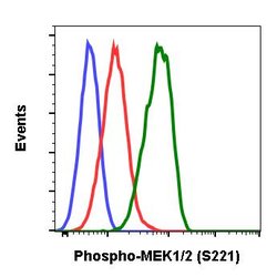 Invitrogen Phospho-MEK1/MEK2 (Ser221) Recombinant Rabbit Monoclonal Antibody