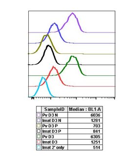 Invitrogen Phospho-MEK1/MEK2 (Ser221) Recombinant Rabbit Monoclonal Antibody