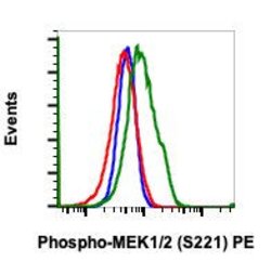 Invitrogen Phospho-MEK1/MEK2 (Ser221) Recombinant Rabbit Monoclonal Antibody