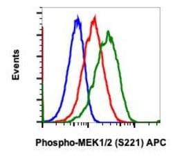 Invitrogen Phospho-MEK1/MEK2 (Ser221) Recombinant Rabbit Monoclonal Antibody