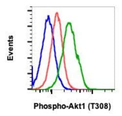 Invitrogen Phospho-Akt1 (Thr308) Recombinant Rabbit Monoclonal Antibody (AktT308-G12), Invitrogen 20 &mu;L | Buy Online | Invitrogen&trade; | Fisher Scientific