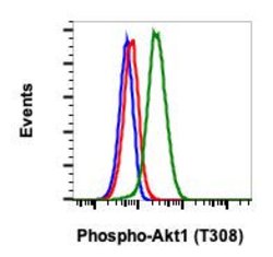 Invitrogen Phospho-Akt1 (Thr308) Recombinant Rabbit Monoclonal Antibody (AktT308-G12), Invitrogen 20 &mu;L | Buy Online | Invitrogen&trade; | Fisher Scientific